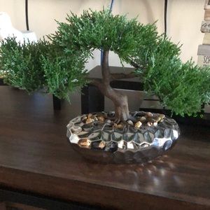 Meet your Posher, Irma